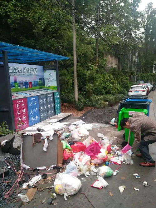 桐廬城區(qū)生活小區(qū)垃圾分類現狀與城市生活垃圾經營服務探析
